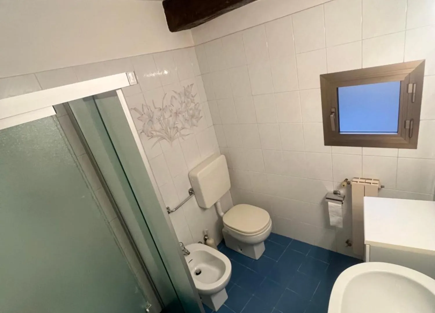 Santo Spirito Apartment Firenze